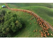 서해랑 별미랑 1박2일 여행