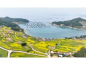 ★청산도 슬로우시티 1박2일★