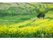 슬로우시티 청산도