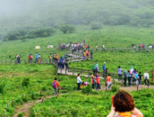 ★천상의 화원 곰배령★1박2일
