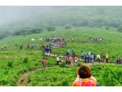 천상의 화원 곰배령 & 왕사남 촬영지 영월 청…