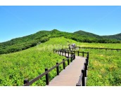 ★천상의 화원 곰배령 1박2일★