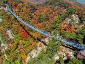 ★원주 그랜드밸리 케이블카 + 평창★1박2일