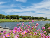 ★경기도 안성만춤여행★1박2일