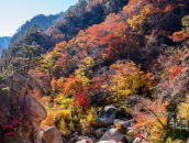 ★동해+설악산 단풍여행★1박2일