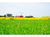 ★고창 당일여행 청보리 축제/고창읍성★