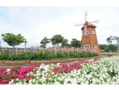 곡성 세계장미축제